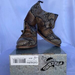 FREEBIRD by Steven Catalina